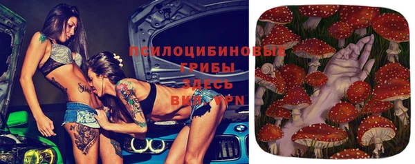 бошки Кукмор