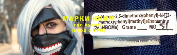 ГАЛЛЮЦИНОГЕННЫЕ ГРИБЫ Арсеньев