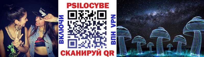 где можно купить наркотик  Пестово  Псилоцибиновые грибы Magic Shrooms 